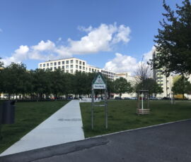 Progetto sul Besselpark. Studio Rehwaldt Architekten Dresda (© Francesca Petretto)