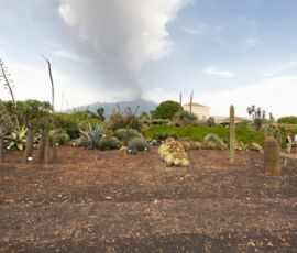 Il parco Radicepura e l'Etna (©Archivio AutonomeForme)