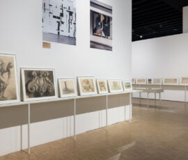 © Triennale Milano - foto Gianluca Di Ioia
