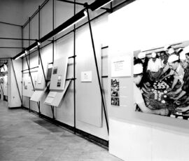 Mostra "Il Comune e i cittadini" (1954, © Archivio Lavarello)