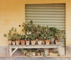 Luigi Ghirri, “Colazione sull’erba”, 1972-74 Comune di Modena, Collezione Galleria Civica - Fondazione Modena Arti Visive (© Eredi di Luigi Ghirri)