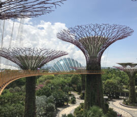 Gardens by the Bay, Grant Associates, Gustafson Porter e Wilkinson Eyre Architects, 2012