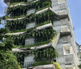 The Oliv, W Architects, 2015