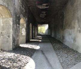 Corpo di fabbrica con portici, ingresso principale (foto Francesca Petretto)