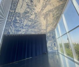 Casa da Música (© Adele Muscolino)