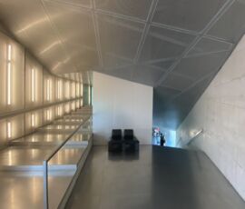 Casa da Música (© Adele Muscolino)