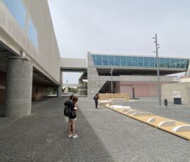 Museu dos Coches (© Luca Gibello)