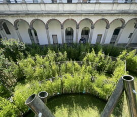 Labyrinth Garden (foto di Arianna Panarella)