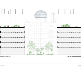 Sezione (© Camerana&Partners)