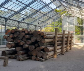 Greenhouse, Karlsaue (© Alessandro Colombo)