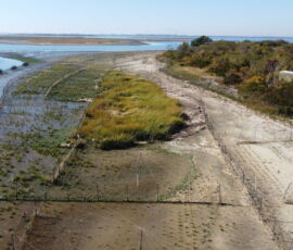 West Pond Living Shoreline, Queens. Restoration Project. Nel maggio 2019, la Jamaica Bay-Rockaway Parks Conservancy (JBRPC) ha stipulato un contratto con Dirtworks Landscape Architecture, PC per finalizzare la progettazione di un litorale vivente nel West Pond del Jamaica Bay Wildlife Refuge, Gateway National Recreation Area, in collaborazione con il National Park Service (NPS). Il progetto di restauro, iniziato nel 2021, utilizza tecniche sperimentali naturali tra cui l’uso di piante autoctone per limitare l'erosione del litorale cercando di ricreare, ampliandolo, l'habitat paludoso originario di Jamaica Bay. Il litorale è stato piantumato con oltre 200.000 erbe e arbusti selvatici autoctoni. Il litorale vivente includerà un sistema frangiflutti creato a partire da sacchi di ostriche per l'attenuazione delle onde e il controllo dell'erosione. Le conchiglie di ostriche sono state raccolte attraverso il programma di raccolta del Billion Oyster Project.