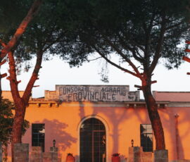Masseria Diso (© Mary Quincy e TheThinkingTraveller)