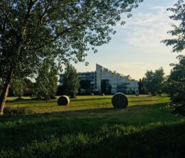 Il prato di piazza Alpi Hrovatin