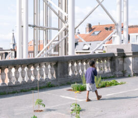© Cinzia Romanin