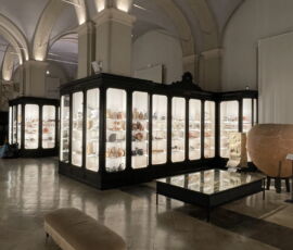 Sala dell'archeologia del Museo Civico di Modena (© Studio Pasetti lighting)