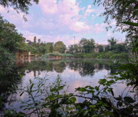 Il Lago Bullicante dell’Ex-SNIA Viscosa (https://zero.eu/en/news/vittoria-storica-dopo-anni-di-battaglie-il-lago-ex-snia-diventera-monumento-naturale/)