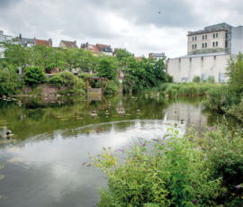 Il Marais Wiels dell’Ex-Wielemans-Ceuppens. @Bénédicte-Maindiaux (https://www.wiels.org/en/events/journee-de-leau)