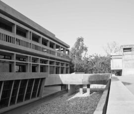 The Institute of Indology