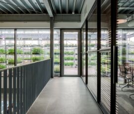 The Green House