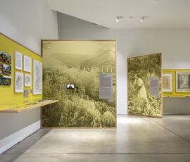 © Vitra Design Museum, foto Ludger Paffrath
