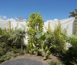 The Womb Garden (© Alfio Garozzo)