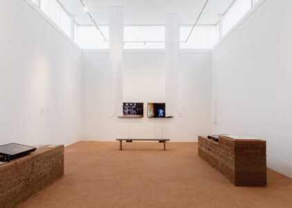 Padiglione Brasile
(© Matteo de Mayda, Courtesy La Biennale di Venezia)