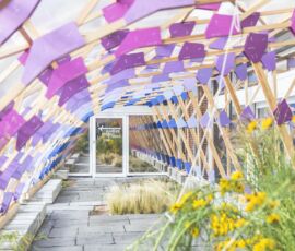 Giardino solare (© David von Becker. courtesy AdK Berlino)