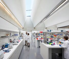 Laboratorio Sainsbury di Stanton Williams (© Hufton Crow)