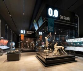 Museo Storia Naturale Milano, Sala dell'Uomo (© Andrea Martiradonna, Courtesy Migliore+Servetto)