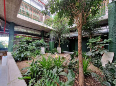 Il giardino d’inverno del secondo usato come spazio per gli atelier parte del Reggio Emilia Approach (© Leonardo Chiesi)