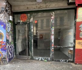 Ingresso principale, vano scala A, sulla Falckensteinstrasse. Foto di Francesca Petretto, gennaio 2024