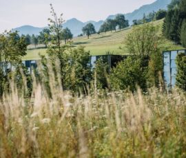 Con il progetto Grüne Erde, il laboratorio bioclimatico e il lavoro di prototipazione di Klaus K. Loenhart e del suo team sono stati elaborati in un ambiente su grande scala.
©terrain_Grüne Erde GmbH