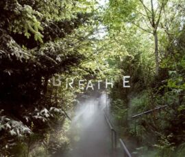 Interno del padiglione "breathe.austria" e dei suoi sentieri di scoperta. La combinazione di una vegetazione fitta e di una tecnologia di controllo del microclima, con il suo sistema di nebulizzazione, è stata concepita per dare ai visitatori la sensazione di un "bagno nella foresta".
©Simon Oberhofer