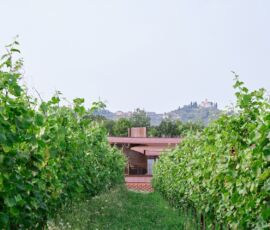Miglior edificio_Studio Pizzi, Cantina-Vinicola-Cerese