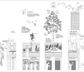 Rooftop Prairie, Chicago. Studio Gang, 2016 (© Studio Gang)