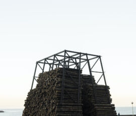 J. Ruiz-Cabello Subiela e S. del Aguila, “Lost Forest”, Donostia