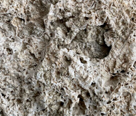 Pietra corallina (faroush), Bahrain (© Matilde Mellini)