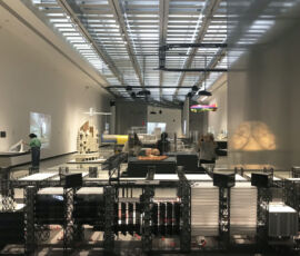 Allestimento sezione “Adattiva” (© Alessandro Brunelli)