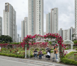 I musicisti suonano brani tradizionali coreani in un roseto sulla riva meridionale del fiume Geumgang a Sejong, la capitale amministrativa de facto della Corea del Sud (© Nick Hannes)