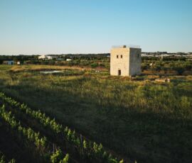 Torre 67, Lecce (© Studio Aires Mateus)