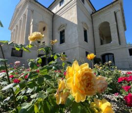 Villa Capra Valmarana detta La Rotonda, Andrea Palladio, Vicenza