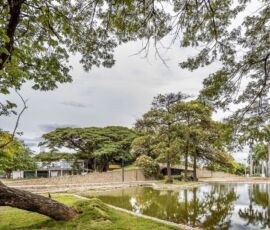 Il nuovo specchio d’acqua, Parco Gran Colombiano, Cartagena (© Mauricio Carvajal)
