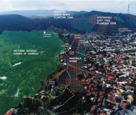 Bosco urbano, Ruderal, Tbilisi (Georgia), xxl plan