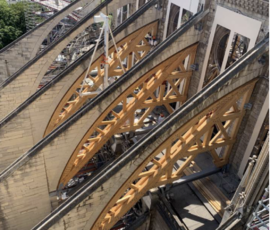 Le centine degli archi rampanti, Notre Dame, Parigi