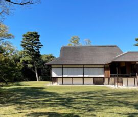 Villa Katsura, Kyoto (© Riccardo Chiaro)