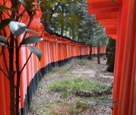 Santuario di Fushimi Inari-taisha, Kyoto (© Riccardo Chiaro)