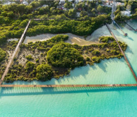 ECOPARQUE BACALAR, Colectivo C733, Bacalar (Messico)