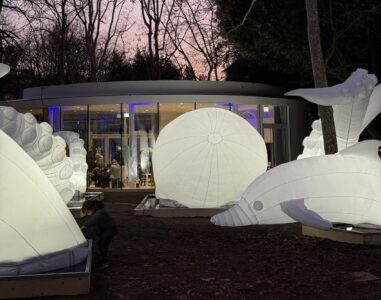 Padiglione Montagnola, Leggere creature inside out, Danilo Traverso, Bologna, 2025 (courtesy Fondazione IU Rusconi Ghigi)