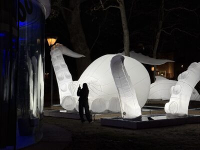 Padiglione Montagnola, Leggere creature inside out, Danilo Traverso, Bologna, 2025 (courtesy Fondazione IU Rusconi Ghigi)