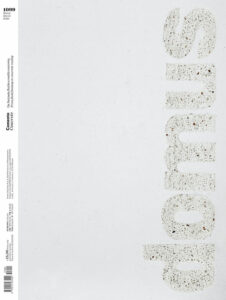 Copertina Domus, marzo 2025 numero 1099